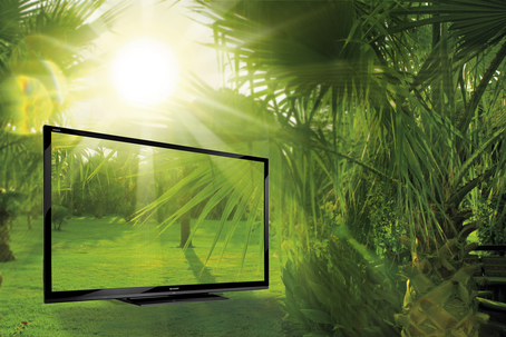 Stort och energisnålt från Sharp