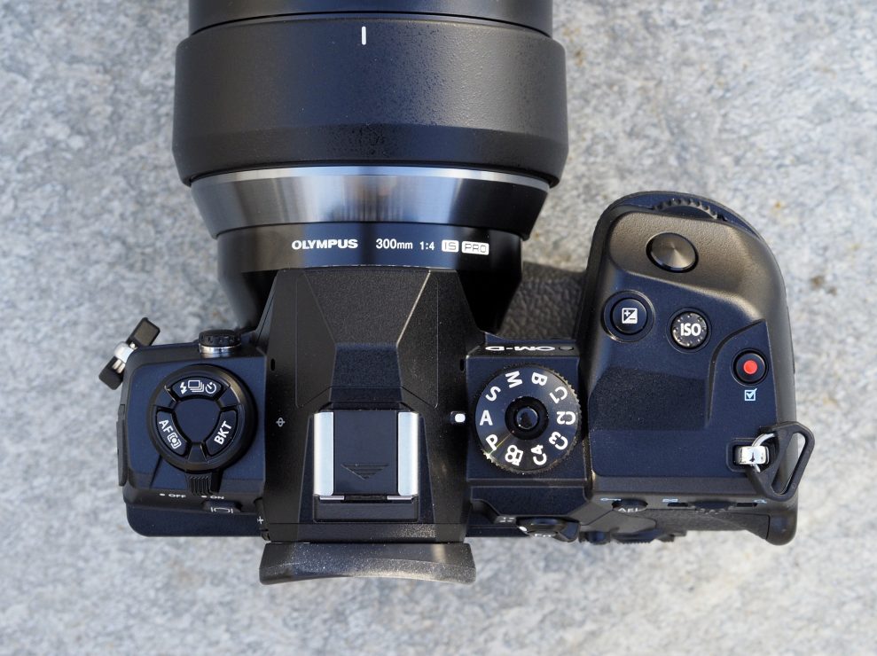 Olympus OM-D E-M1X 5 Olympus OMD EM1X topp 53504
