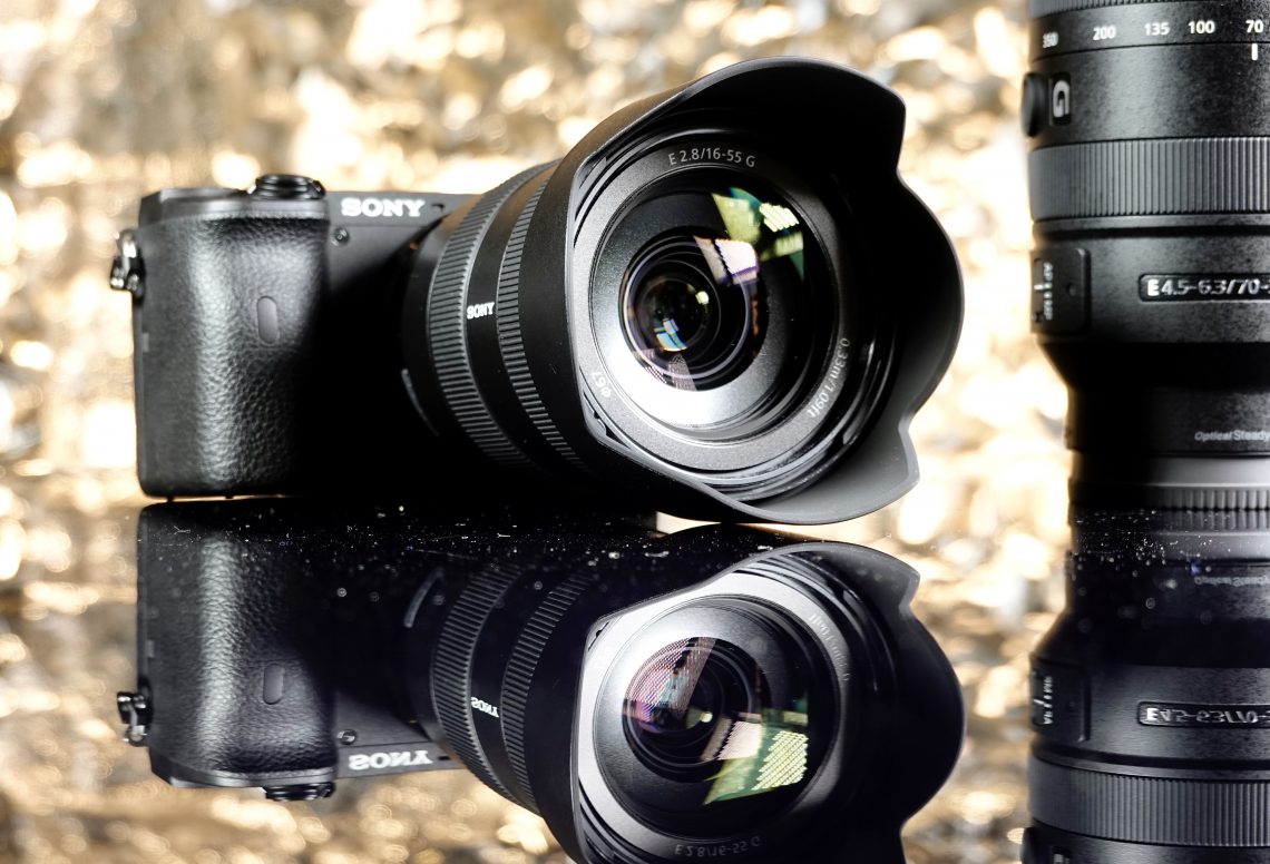 Skarpa bilder av hela familjen – och husdjuren