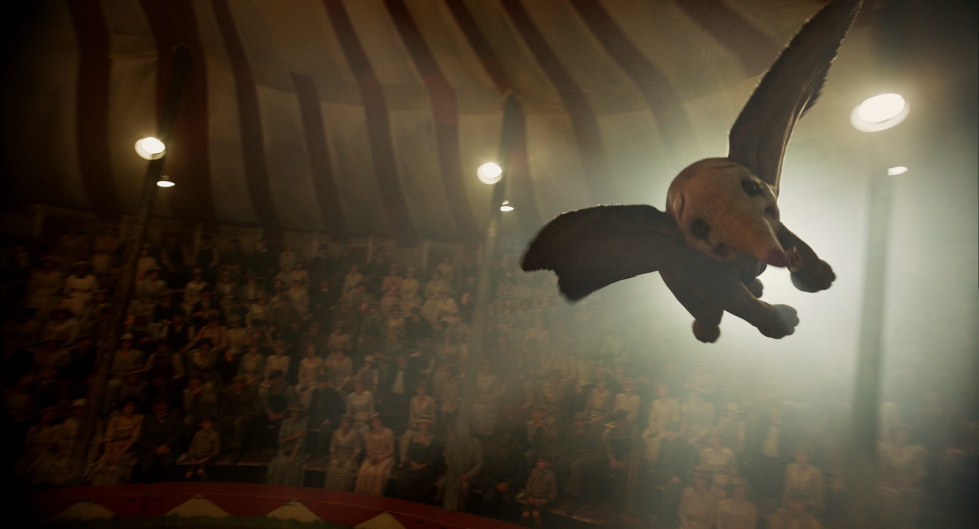 Dumbo 1 59163