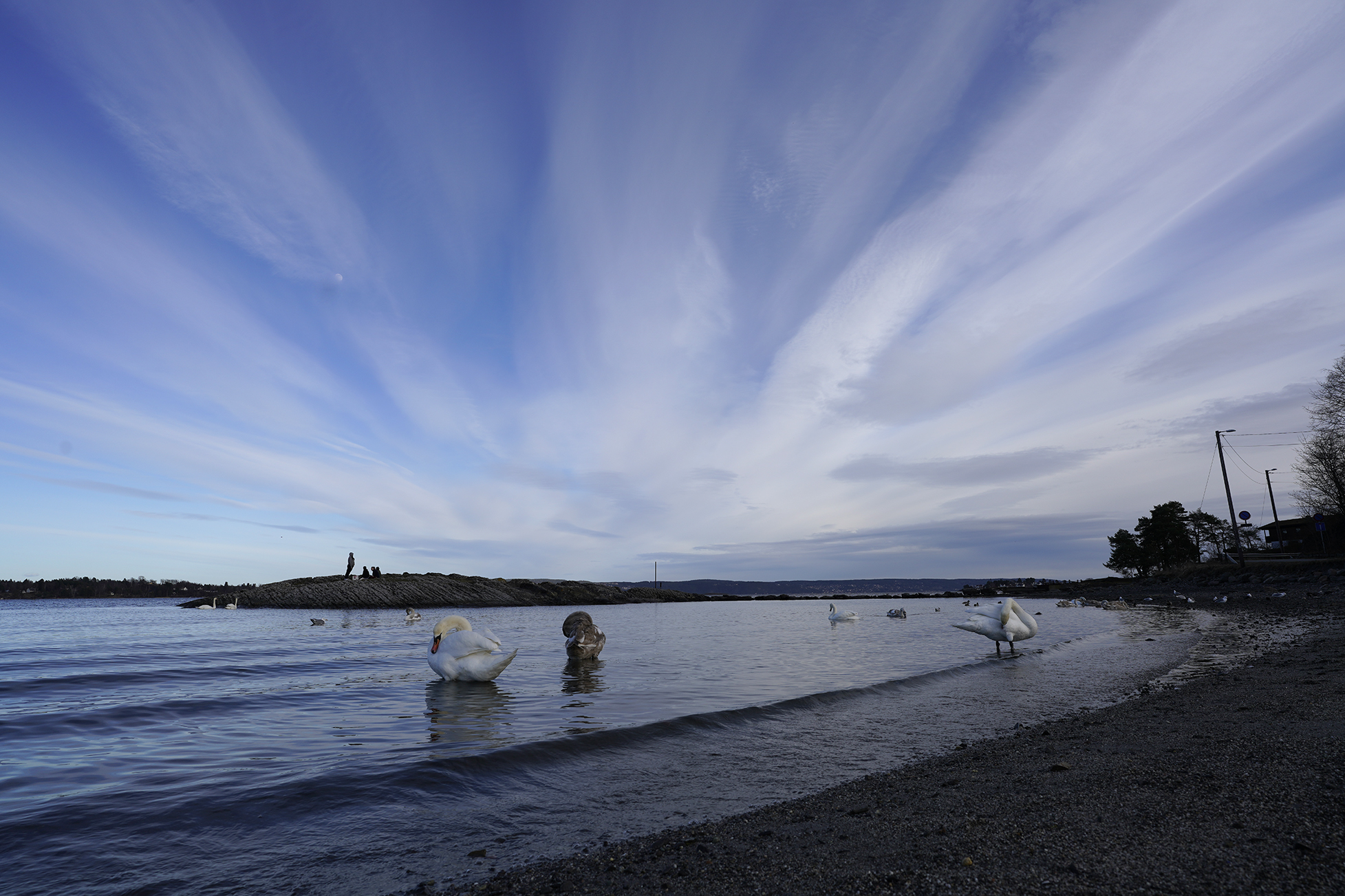 Sony FE 20mm f1.8 G 5 Sony FE 20 f8