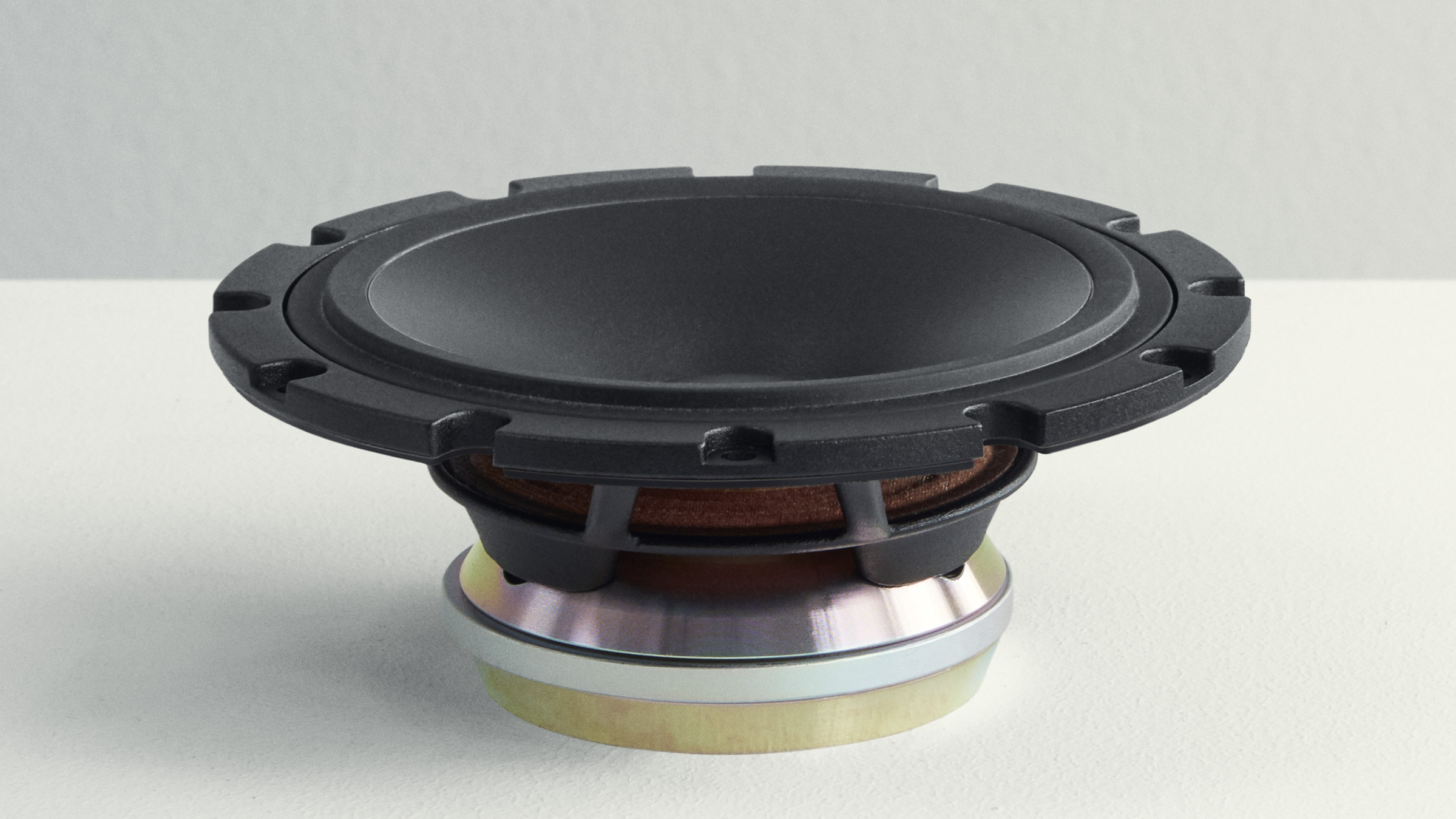Dynaudio Confidence 60 5 Speaker part - Dynaudio Confidence midrange with Horizon