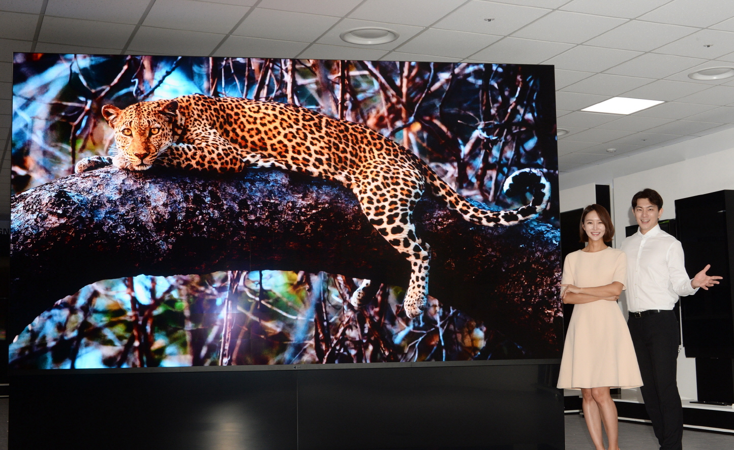 CES 2021: LG Magnit är en 163-tums MicroLED-TV