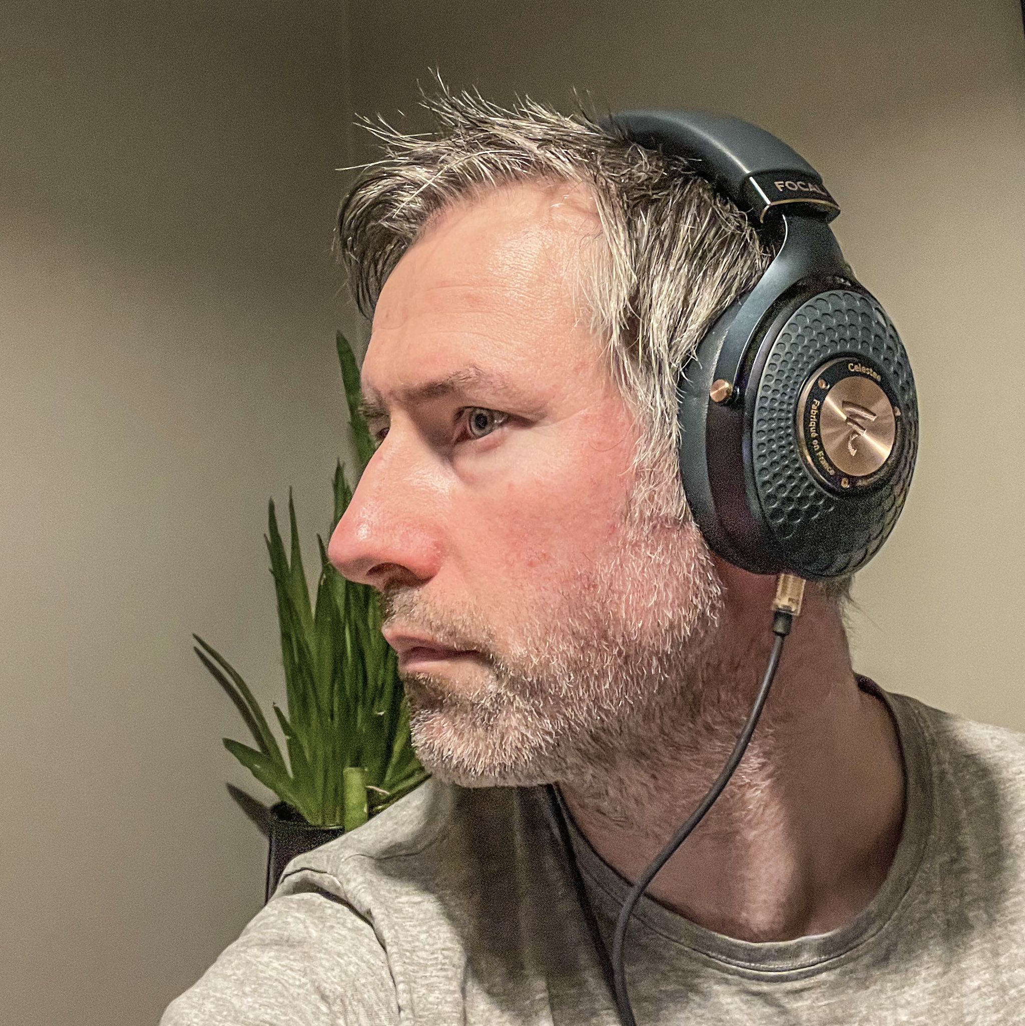 Focal Celestee 5 Focal Celestee Graabein
