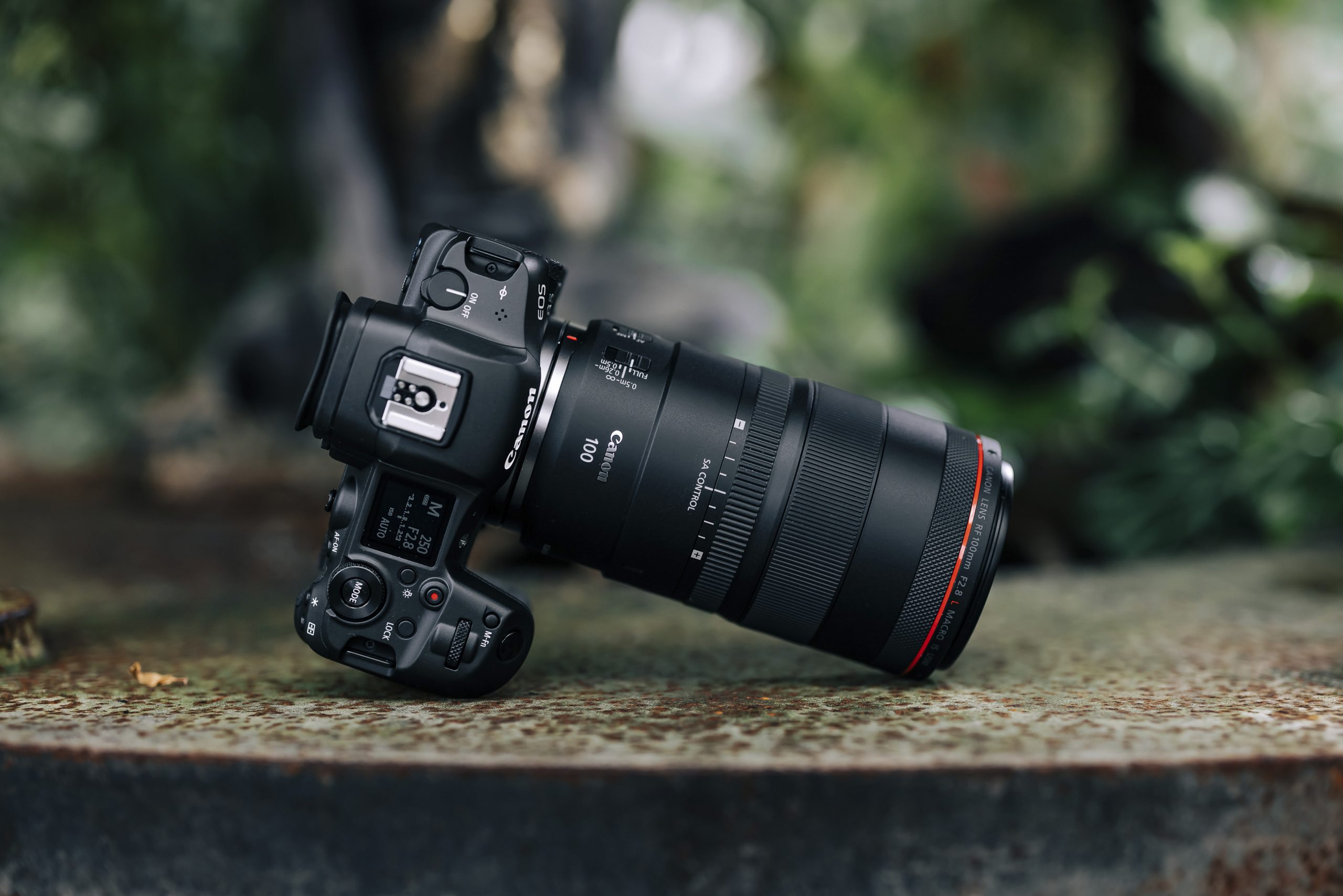 Canons nya proffskamera är avslöjad – och har ögonstyrning! 6 RF100mm macro Ambient 21 scaled 1