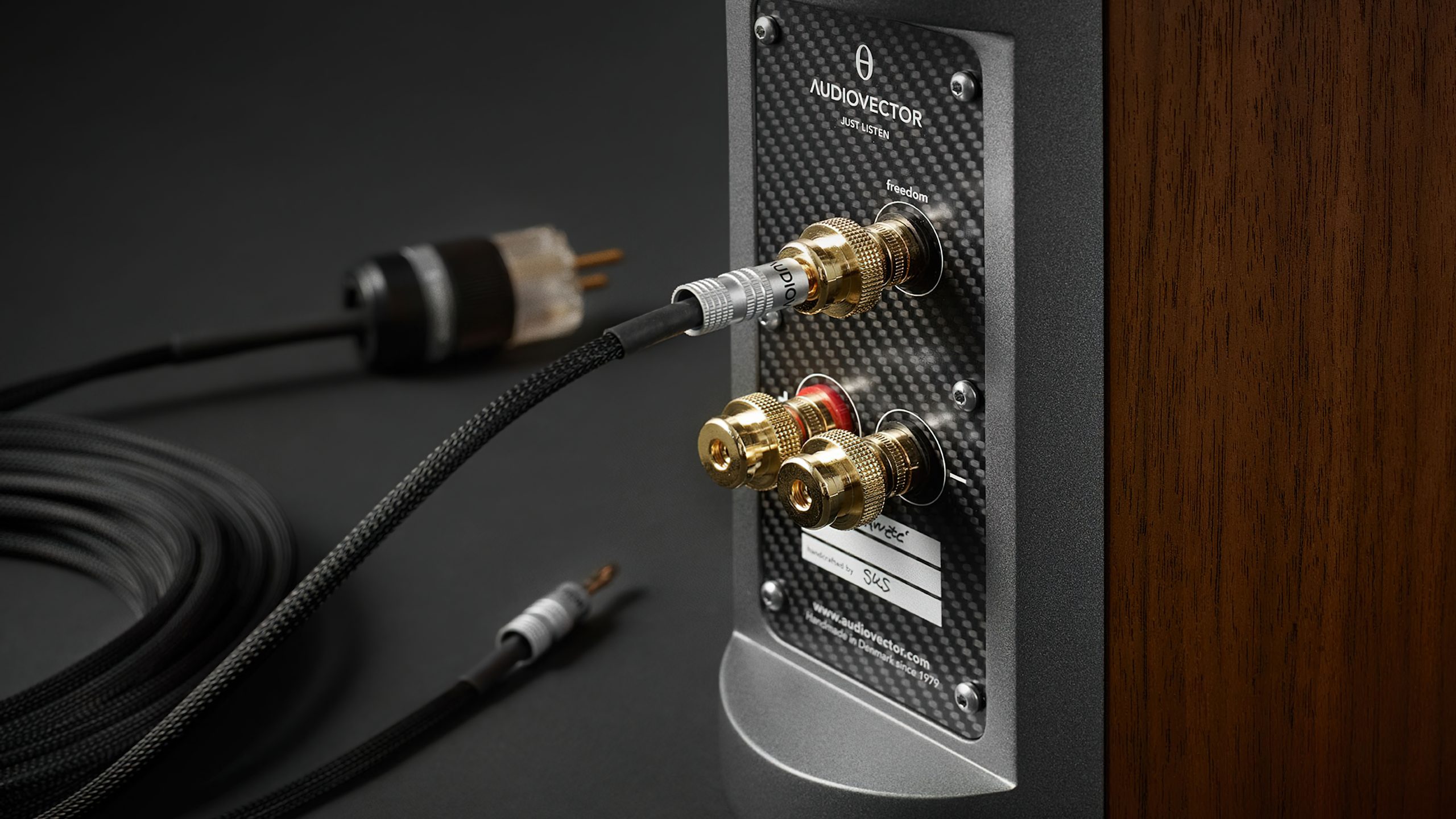 Audiovector Freedom cable