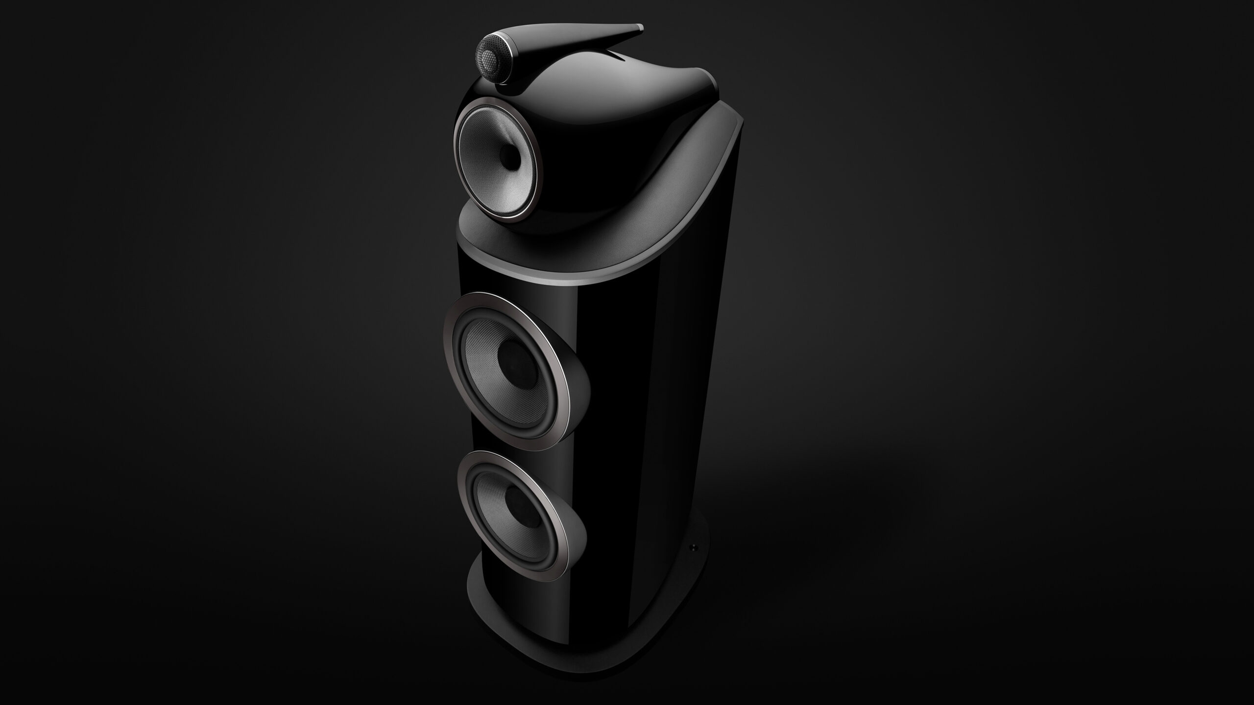 BW 801 D4 black beauty BW 801 D4 black beauty