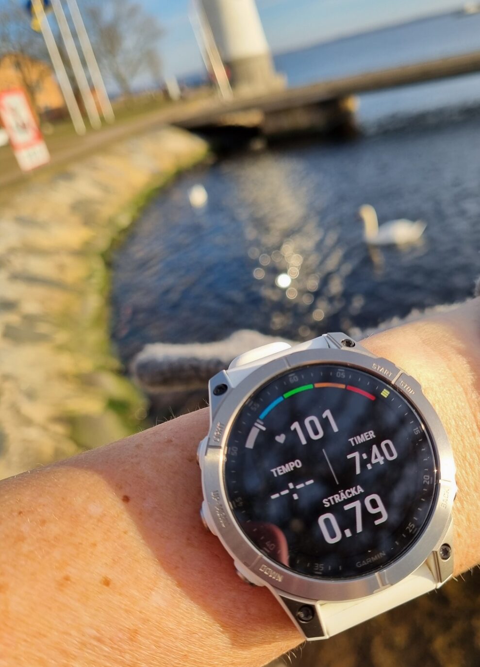 Garmin Epix (Gen 2) 9 Garmin Epix
