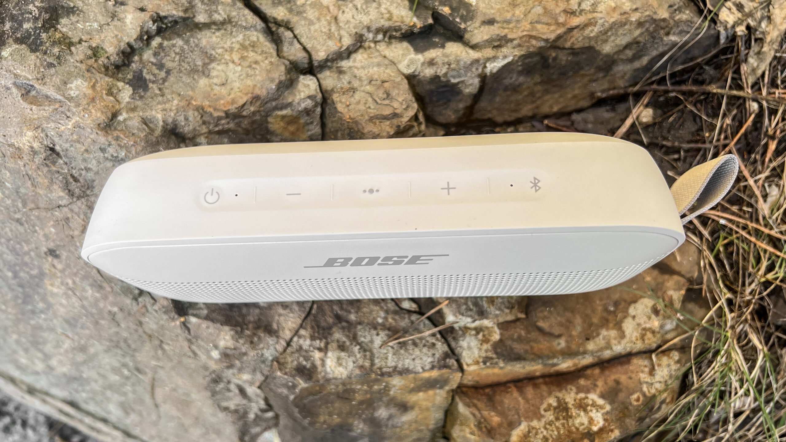 Bose SoundLink Flex top