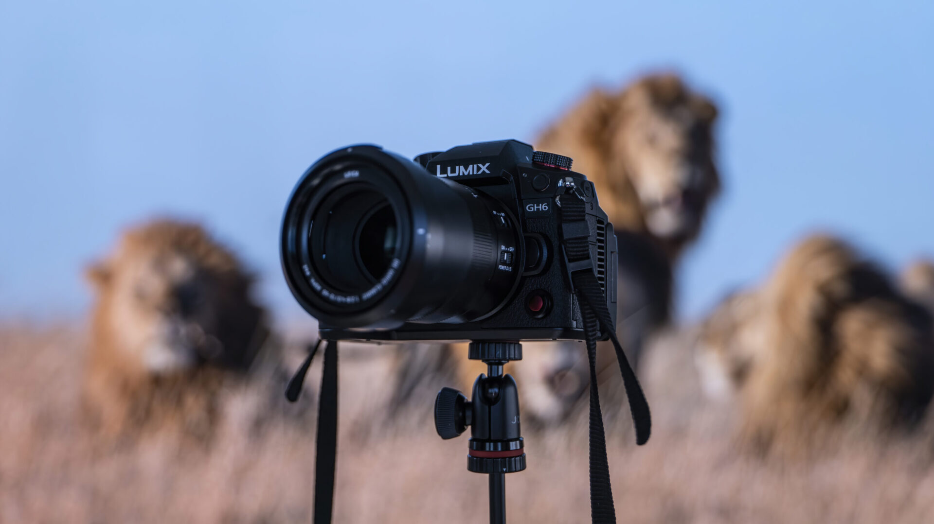 Panasonic Lumix DC-GH6