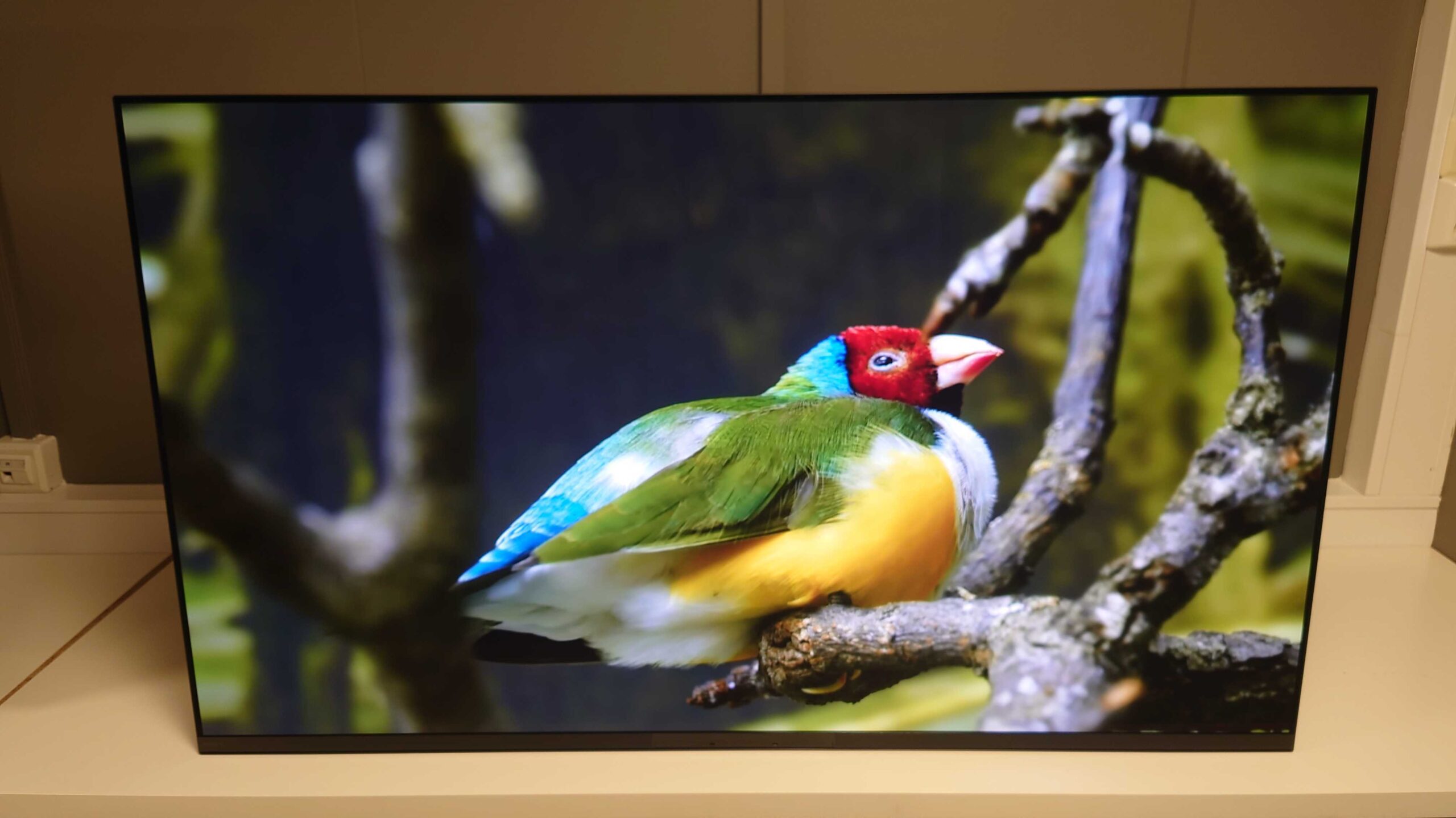 Sony A95K QD OLED picture quality 4
