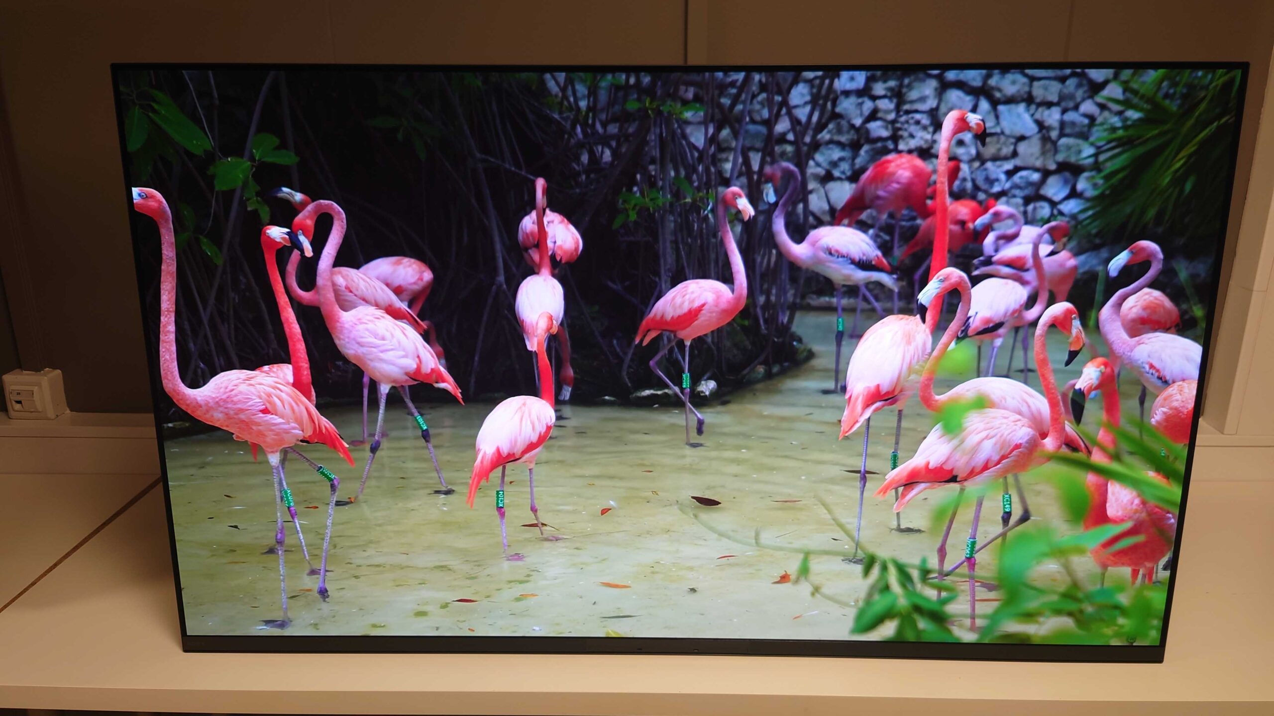 Sony A95K QD OLED picture quality 6