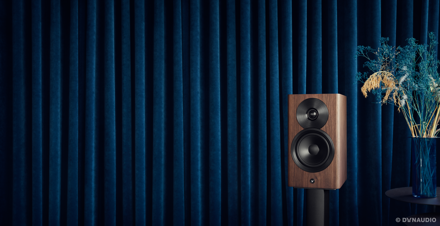 dynaudiofocus10 walnut 01