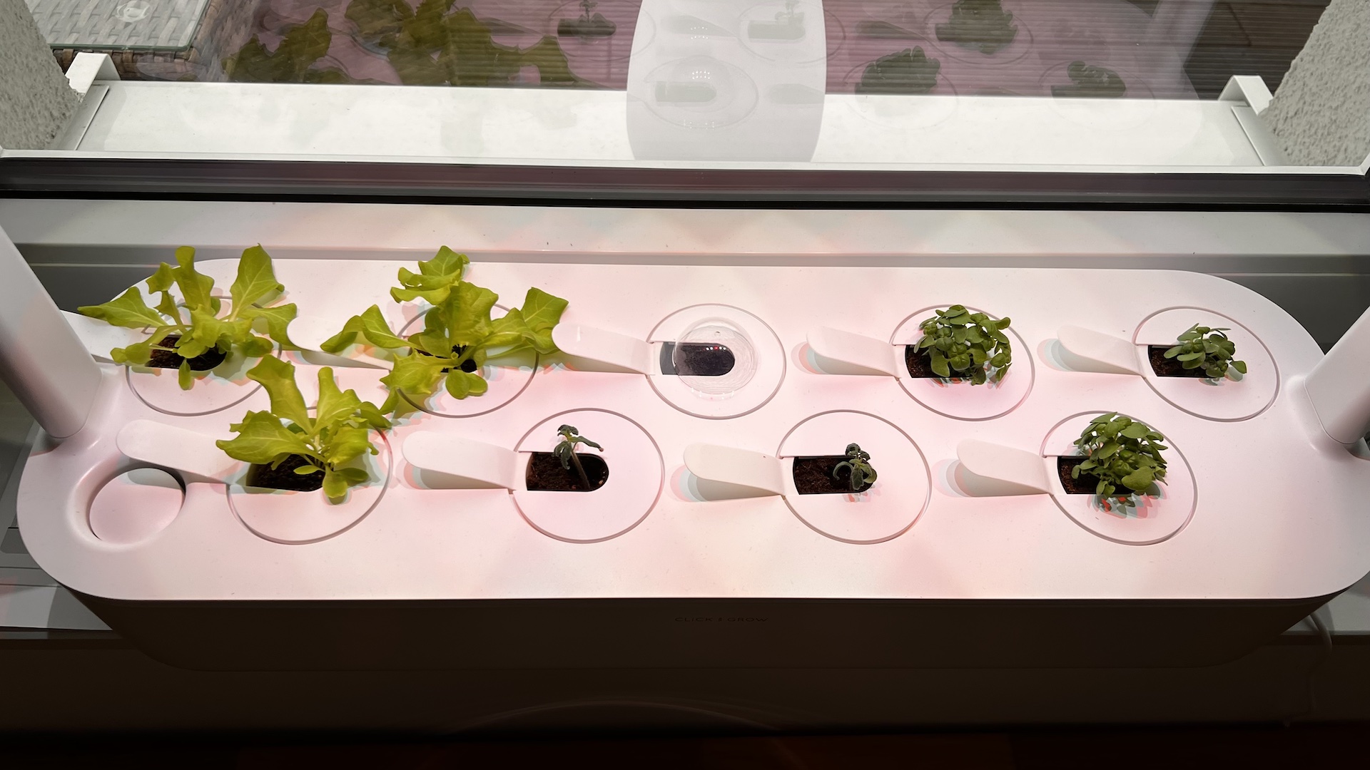 Click & Grow Smart Garden 9 Pro 4 Smart Garden 9 Pro
