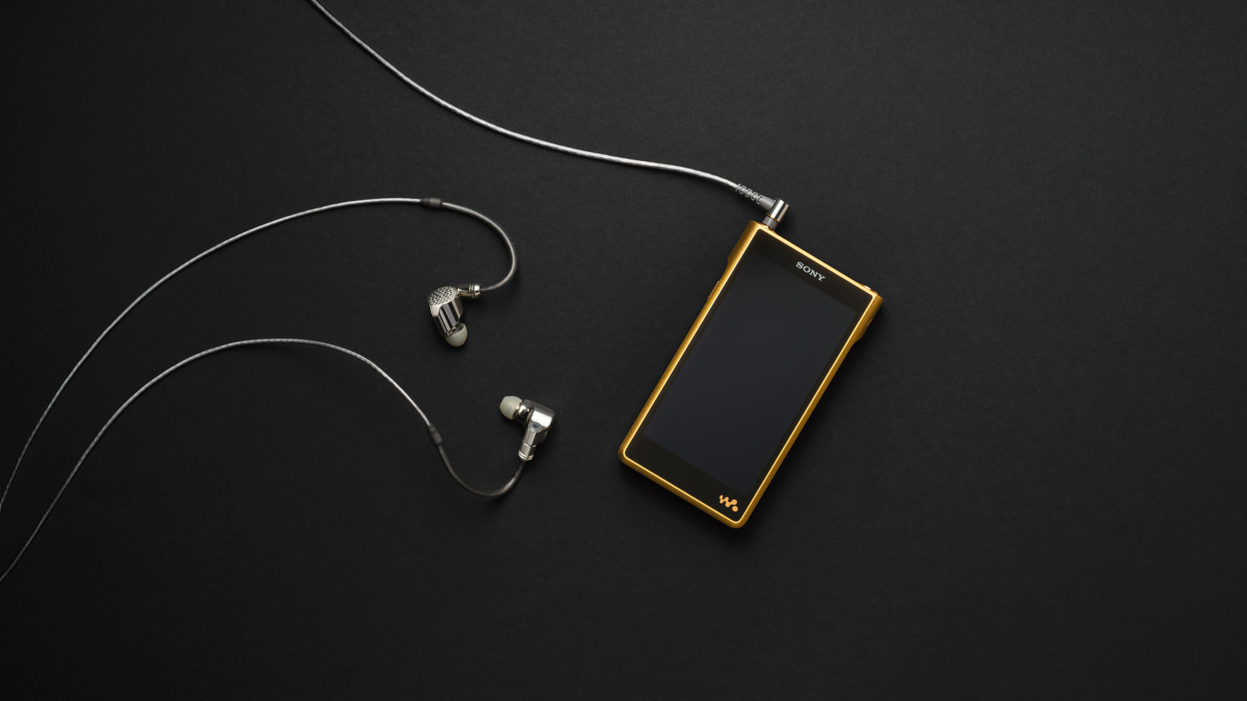 Sony NW WM1ZM2 IER Z1R scaled 1 Sony NW WM1ZM2 IER Z1R scaled 1
