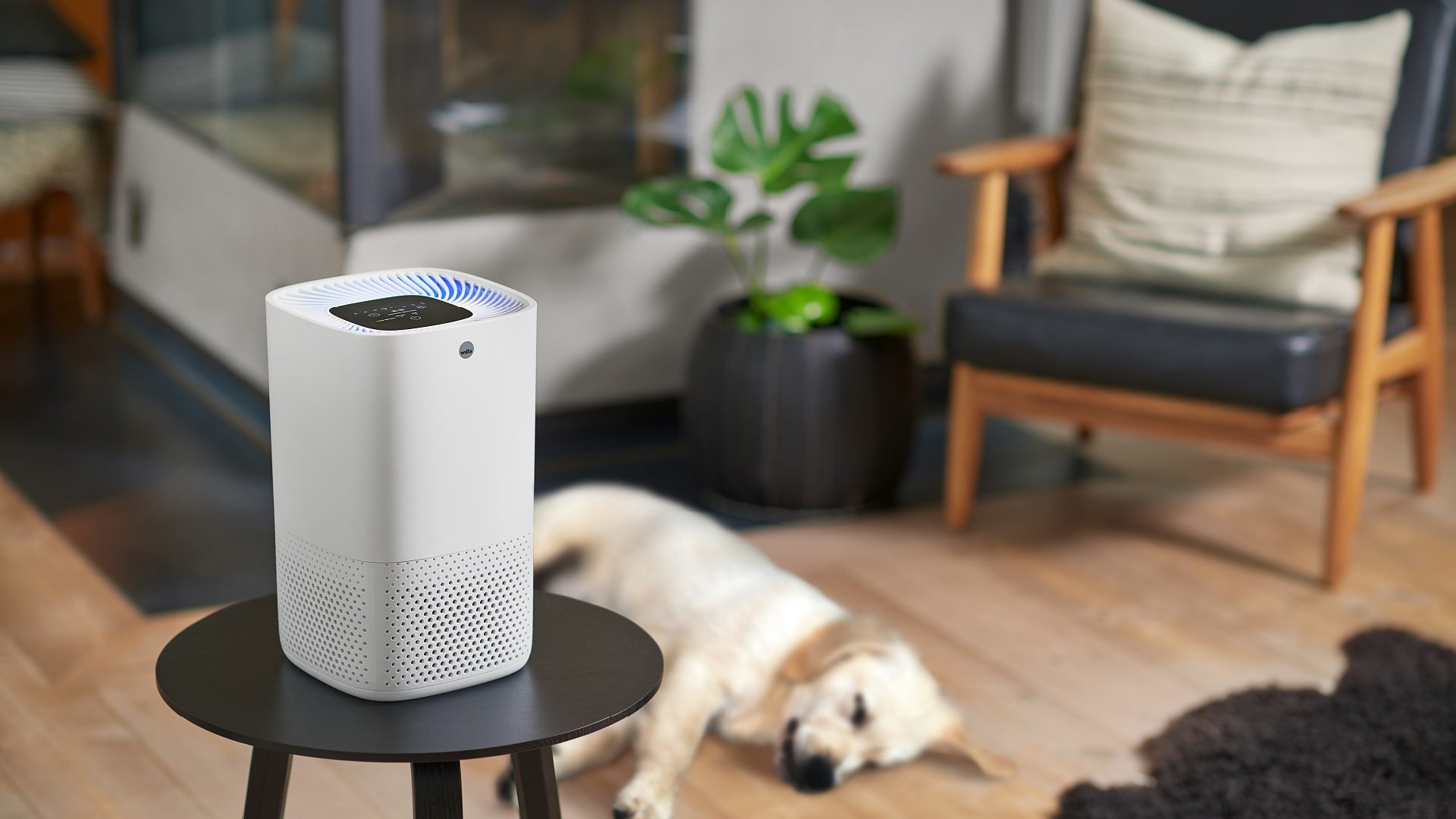 Wilfa Fresh Air Purifier AP-100CW