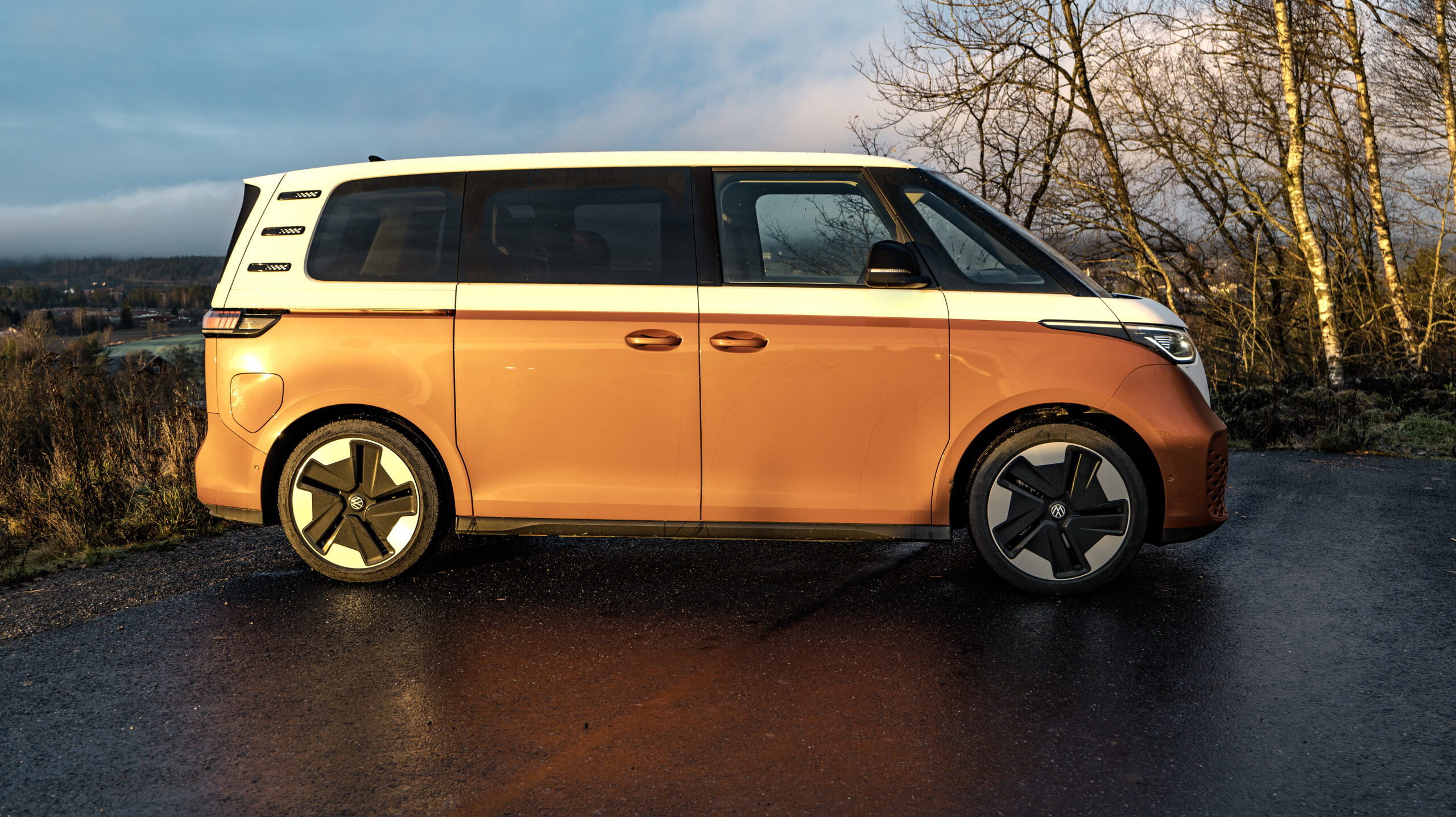 Volkswagen ID. Buzz Pro 1 VW ID Buzz left side