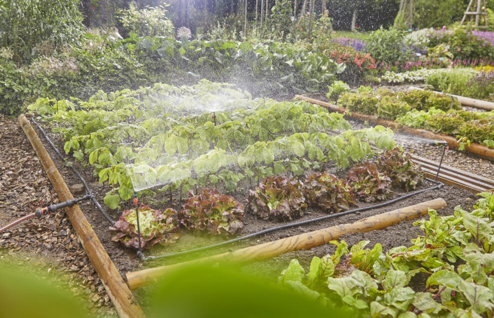 Gardena Micro-Drip-systemet gjør hagen frisk og fin 1 Gardena Micro-Drip-systemet gjør hagen frisk og fin 1