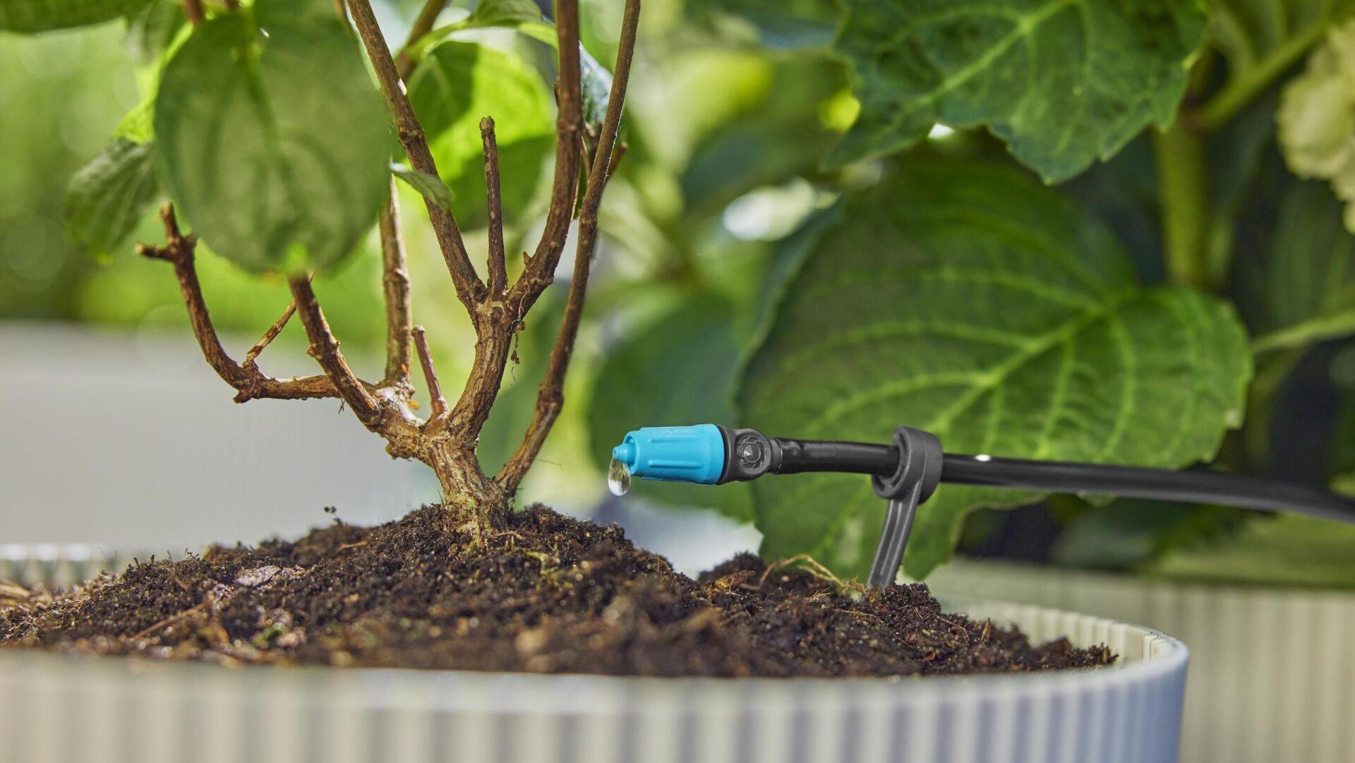 Gardena Micro-Drip-systemet håller trädgården fräsch