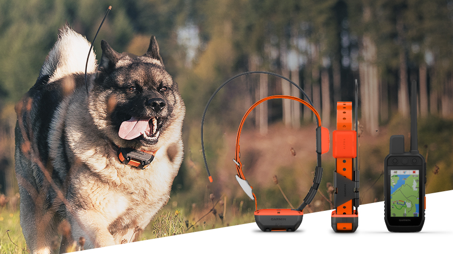 Garmin Alpha 300 hund-spårning och T20 halsband