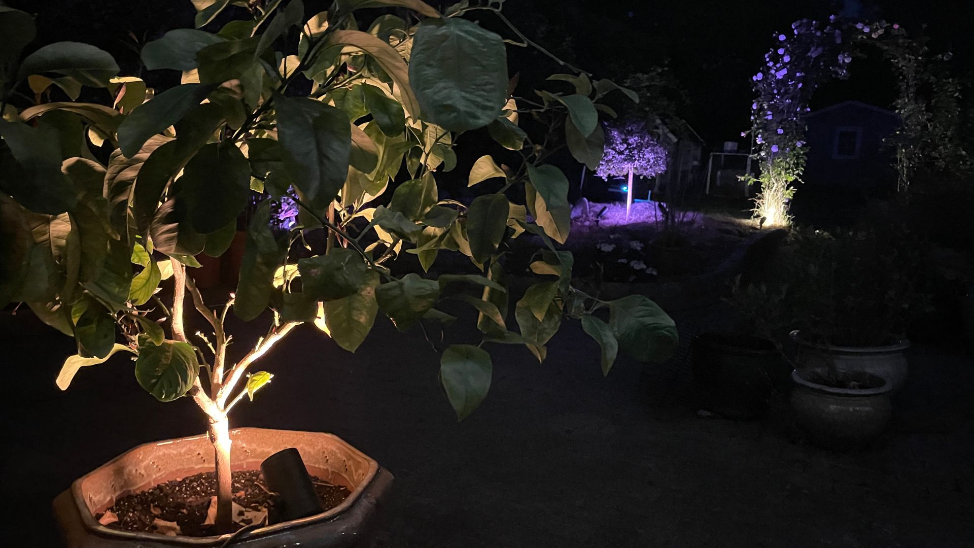 4 smarta spotlights för trädgården