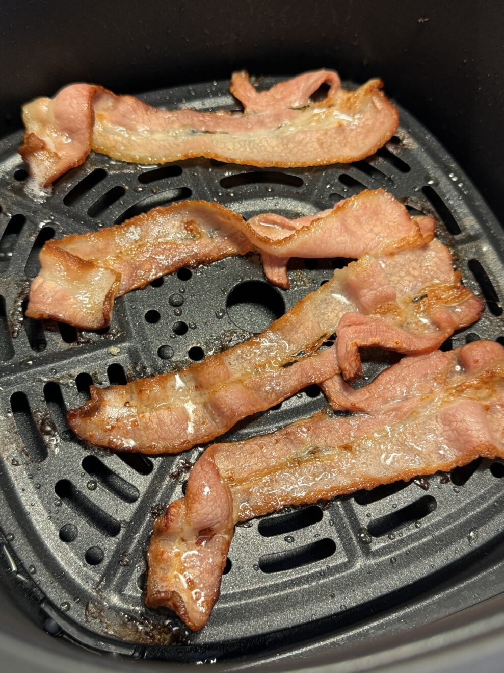 panasonic cc600 bacon