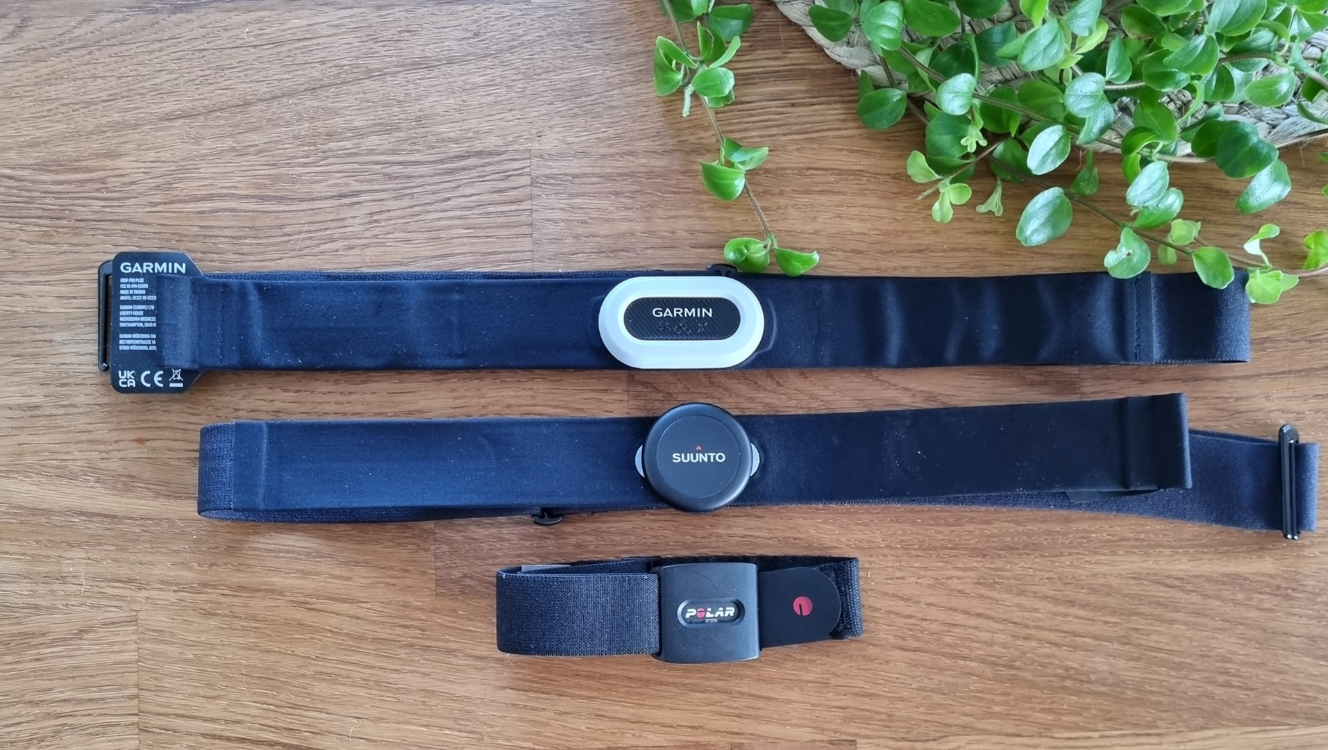 Pulsband Inledning webben