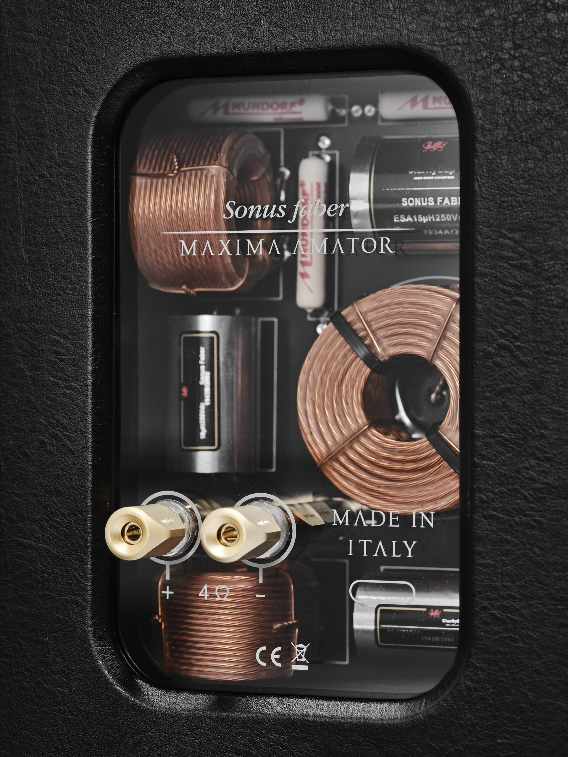 Sonus faber Maxima Amator 4 STILL MAXIMA SONUS FABER 13166 scaled