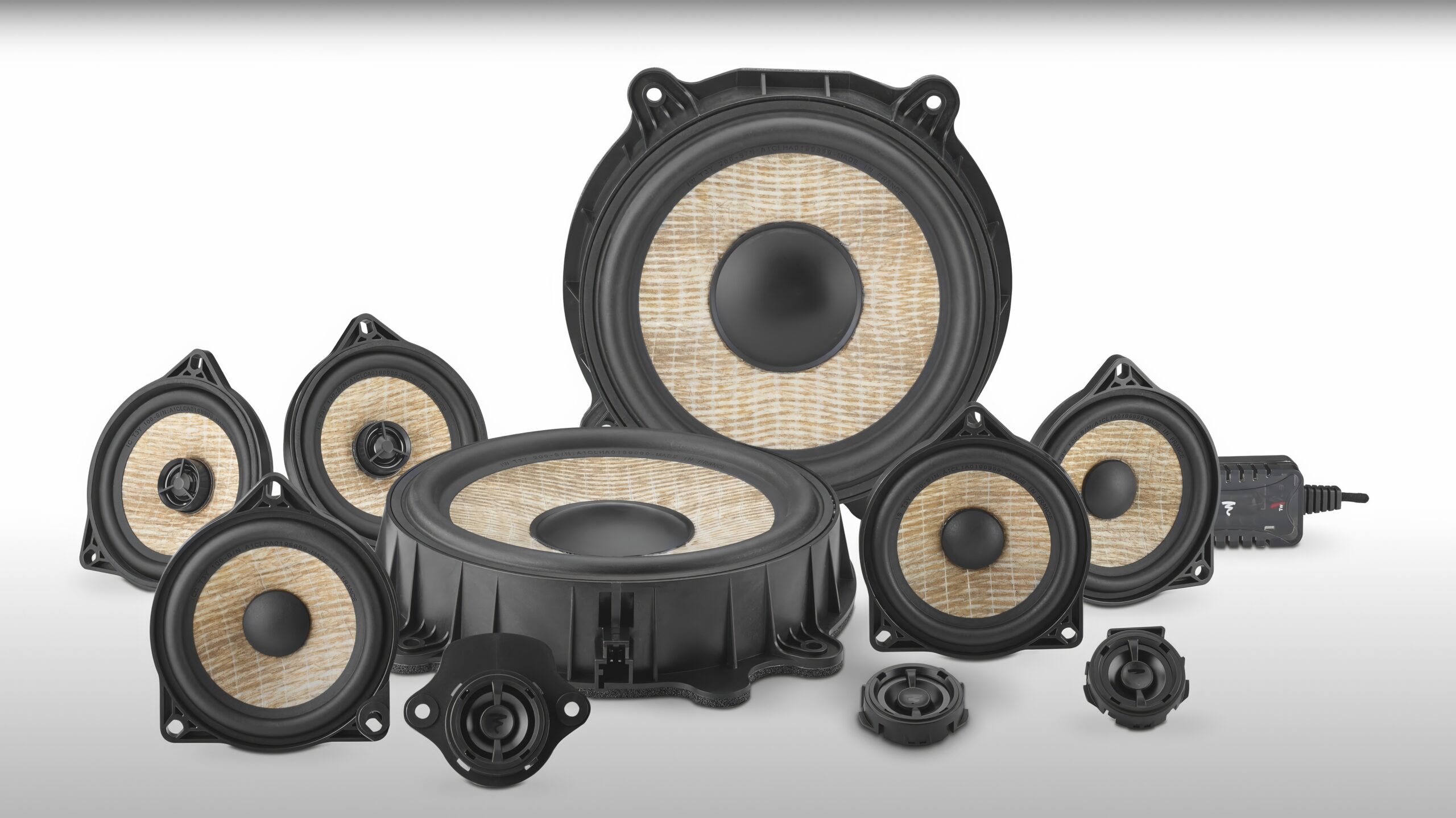 Focal T3Y 1 Focal T3Y Tesla - family-resized