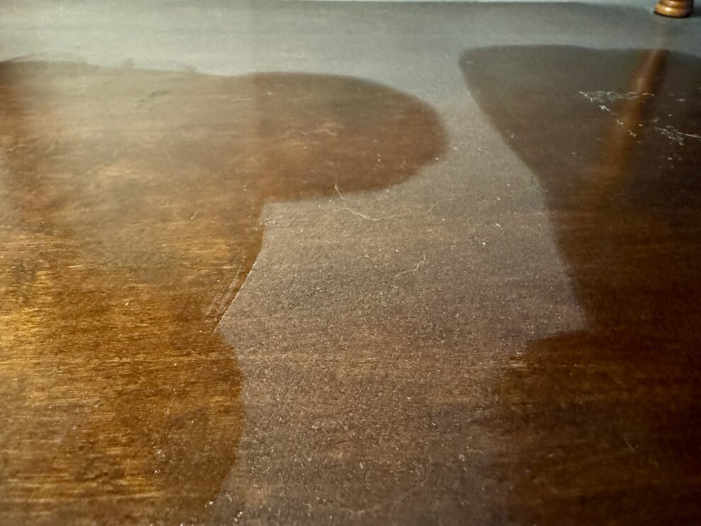 Dyson gen5detect Absolute 6 dyson dust