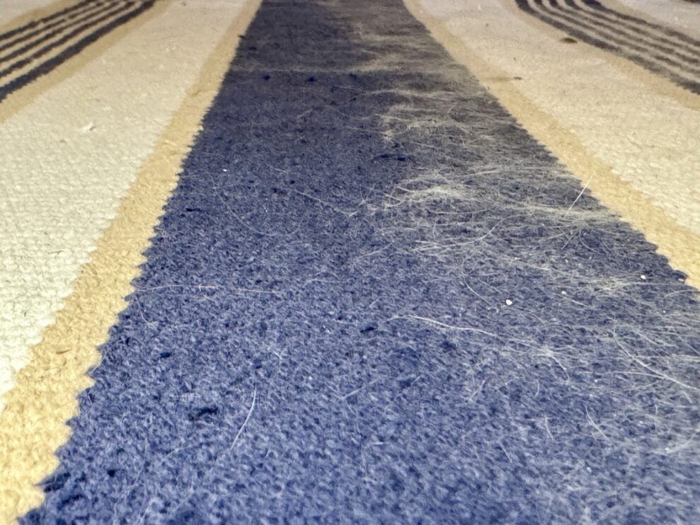 Dyson gen5detect Absolute 4 dyson rug test