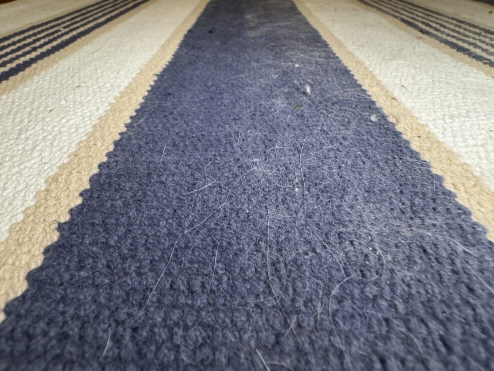 philips rug test