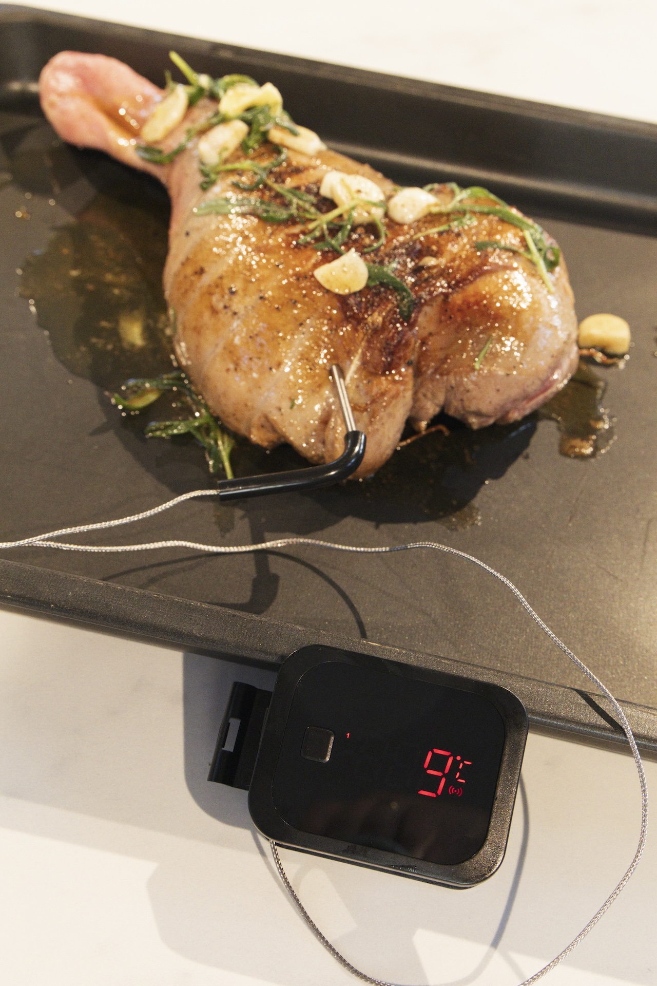 FCC BBQ Digital Bluetooth thermometer 1 fcc lifestyle