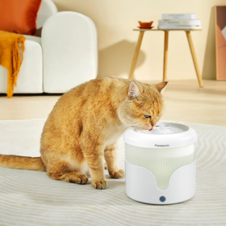 6 smarta foder- och vattenautomater för husdjur 1 panasonic petcare CP JNW01CW lifestyle cat 04 2000x2000 1
