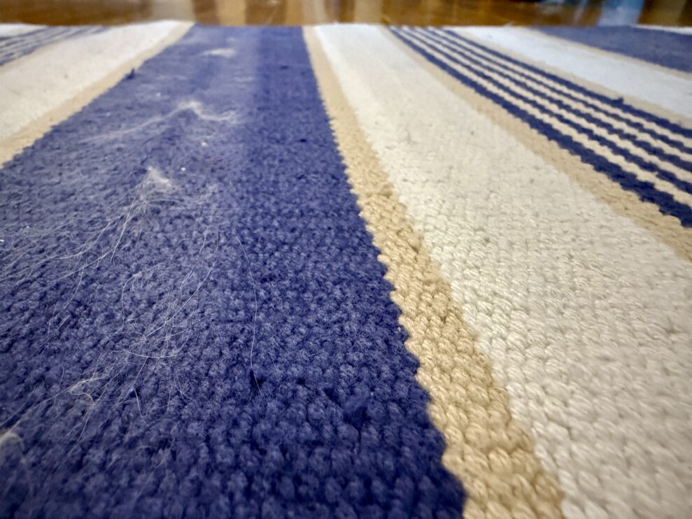 600 Cordless carpet web
