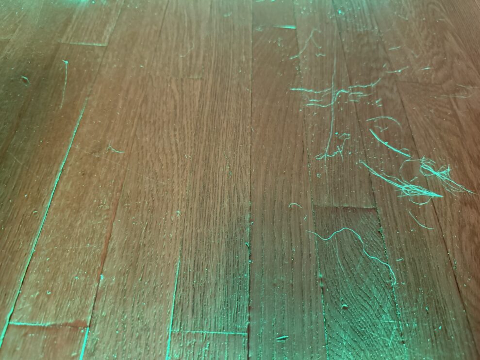 Electrolux 800 dust web