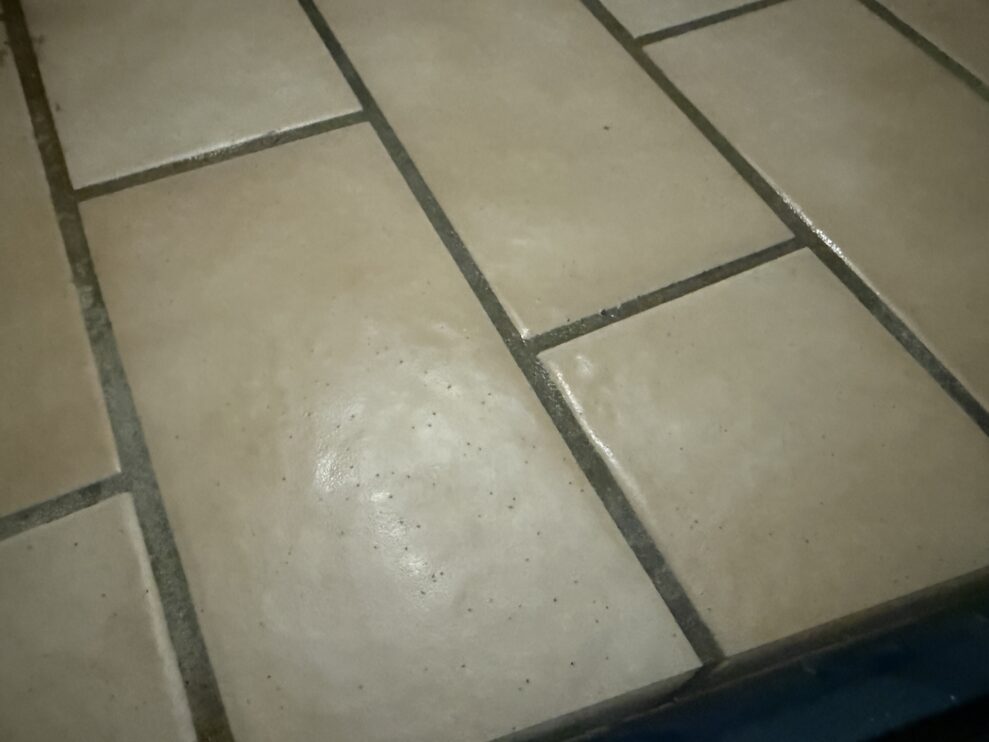 Electrolux 800 stain after web