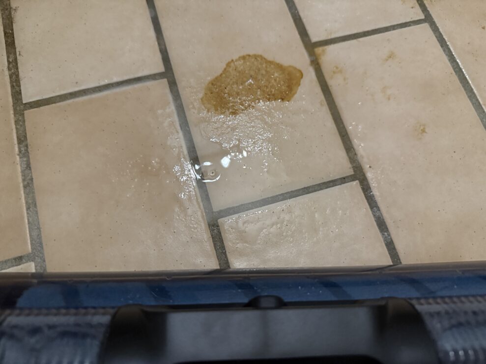 Electrolux 800 stain before web