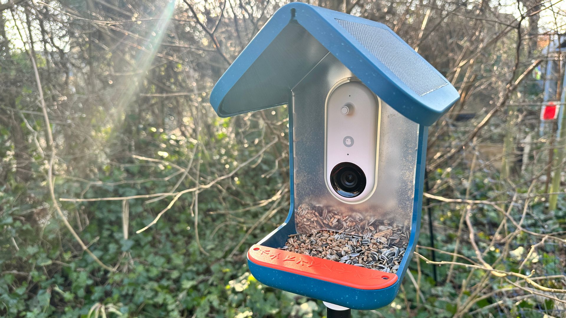Bird Buddy Smart Bird Feeder PRO Solar