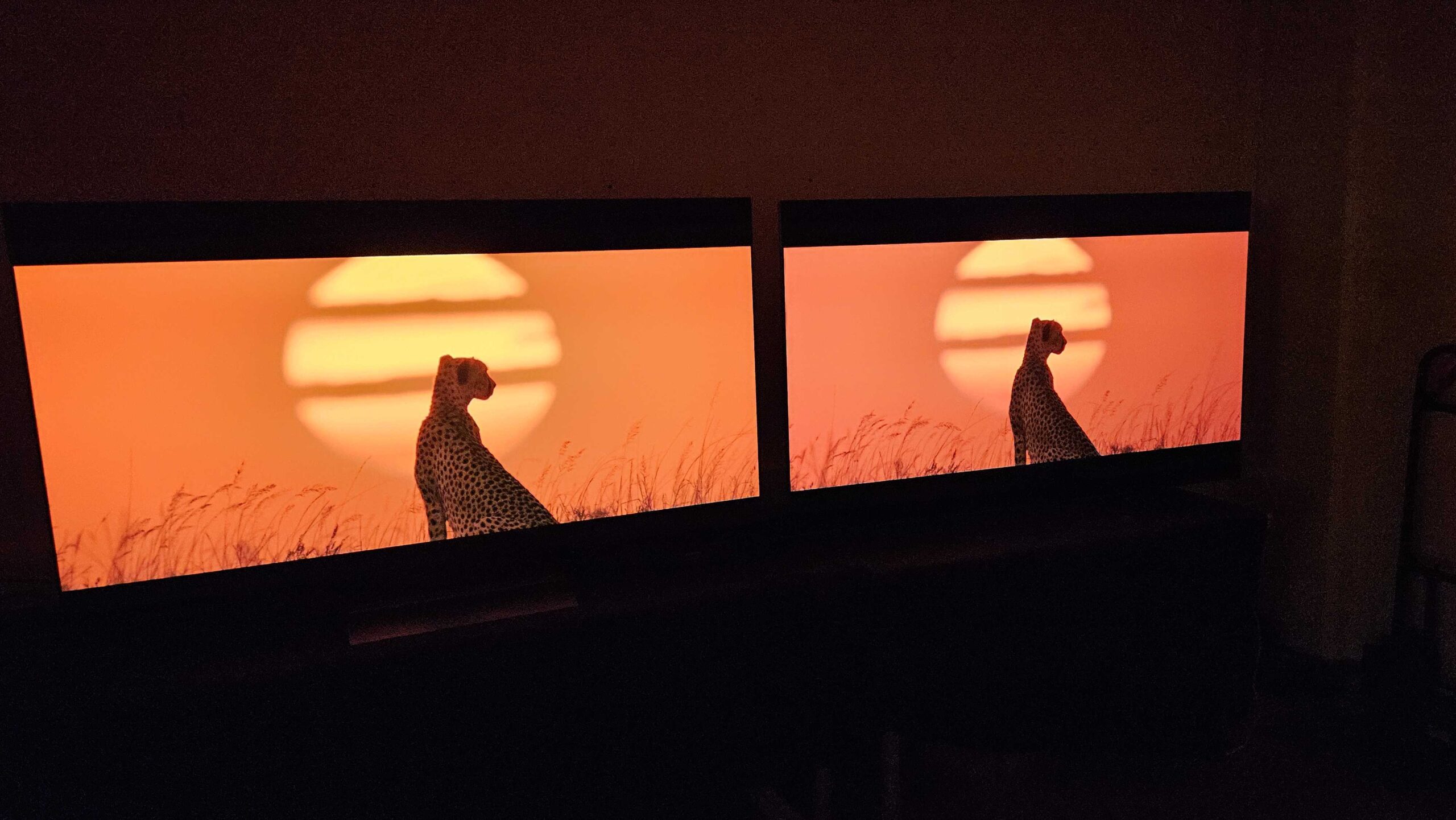 LG OLED C5 vs OLED G5 1 scaled