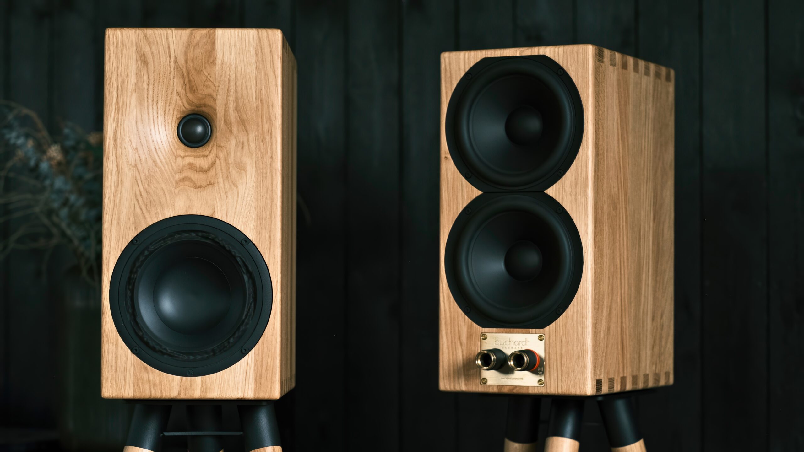 Hifi-skolan, del 6 12 Buchardt Audio E50
