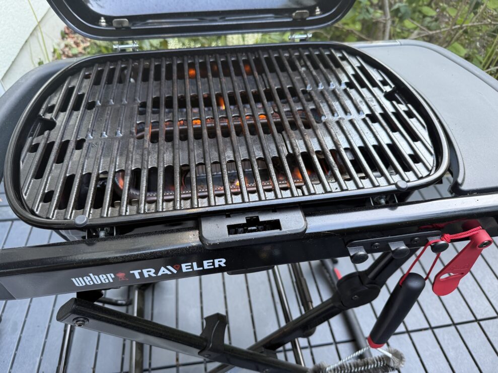 weber traveler fire web