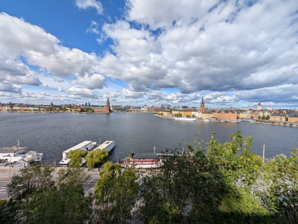 Pixel 10 Pro XL ultrawide