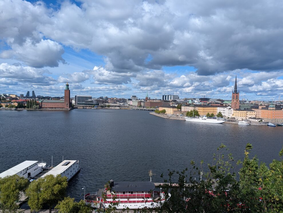 Pixel 10 Pro XL wide