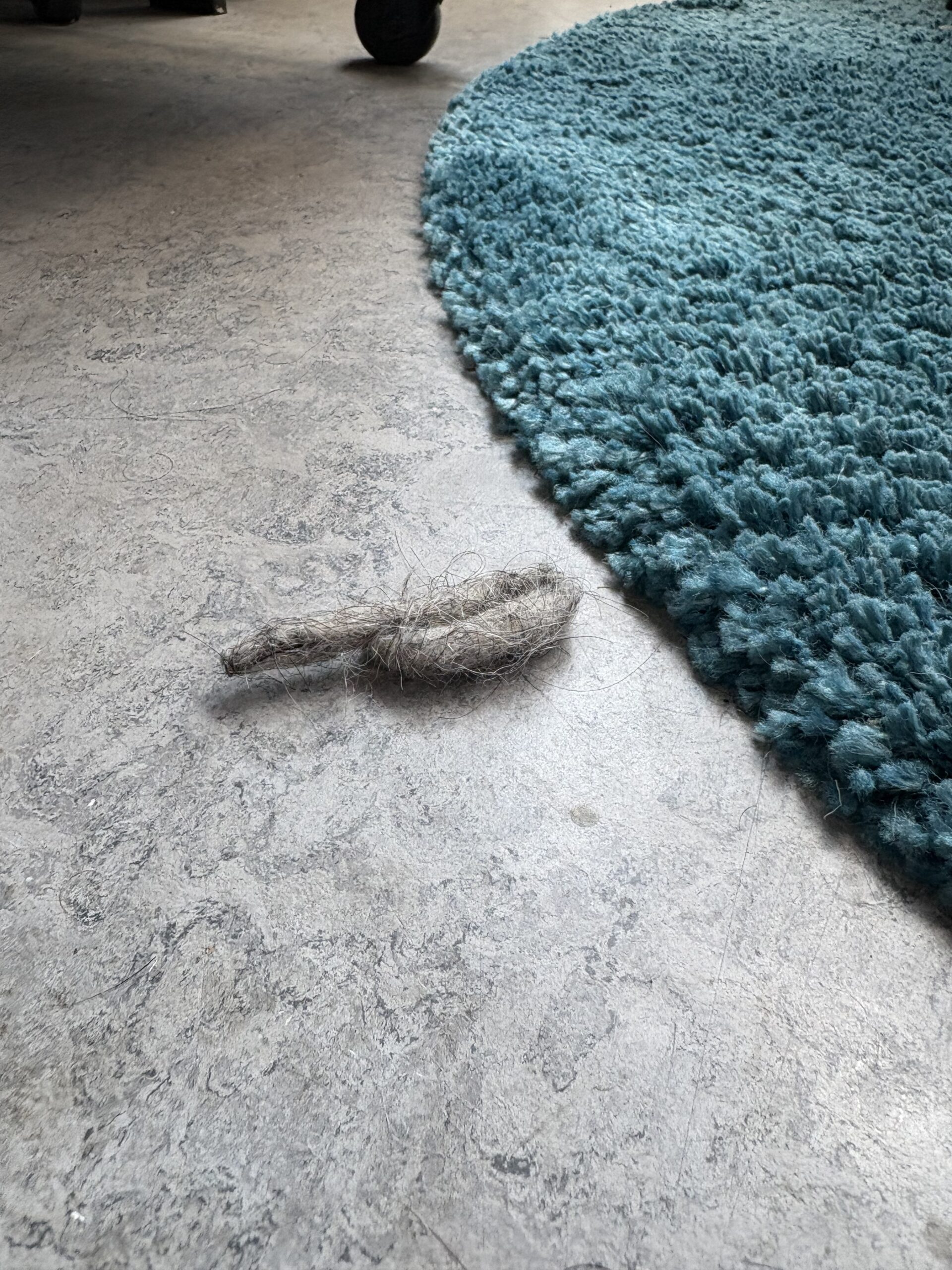 Roomba Plus 505 combo 02 scaled