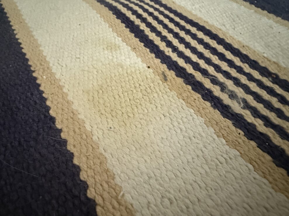 SpotClean HydroSteam rug after (web)