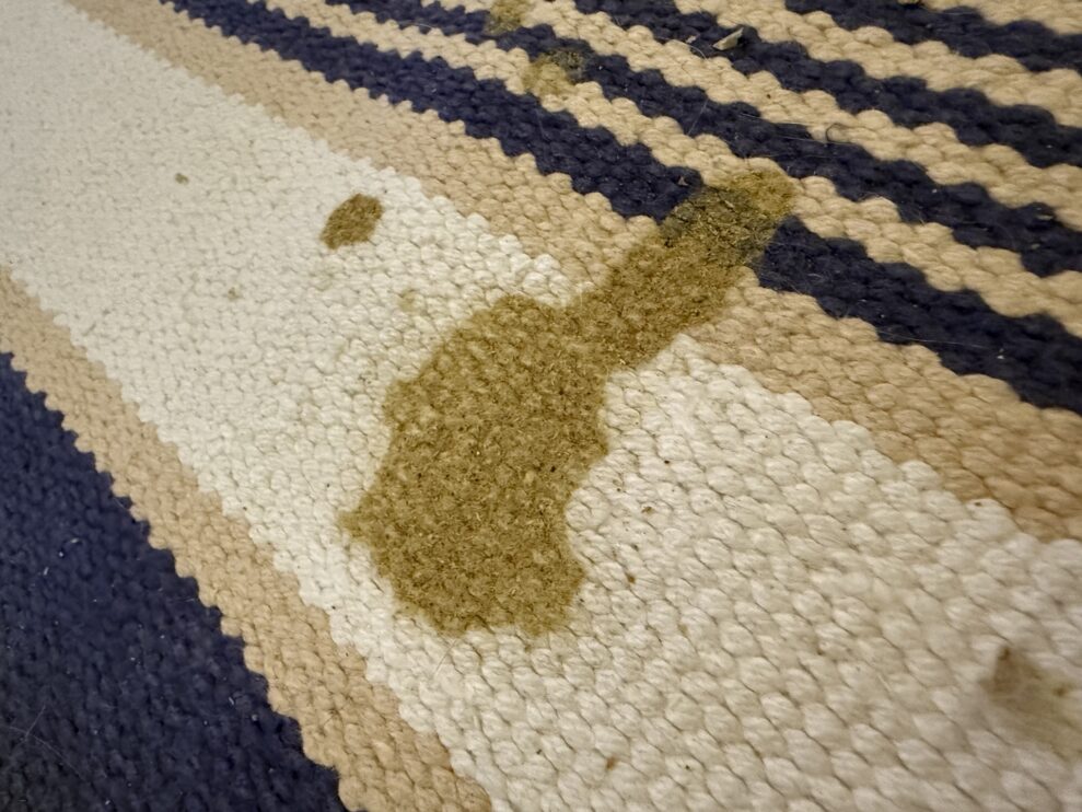 SpotClean HydroSteam rug before (web)