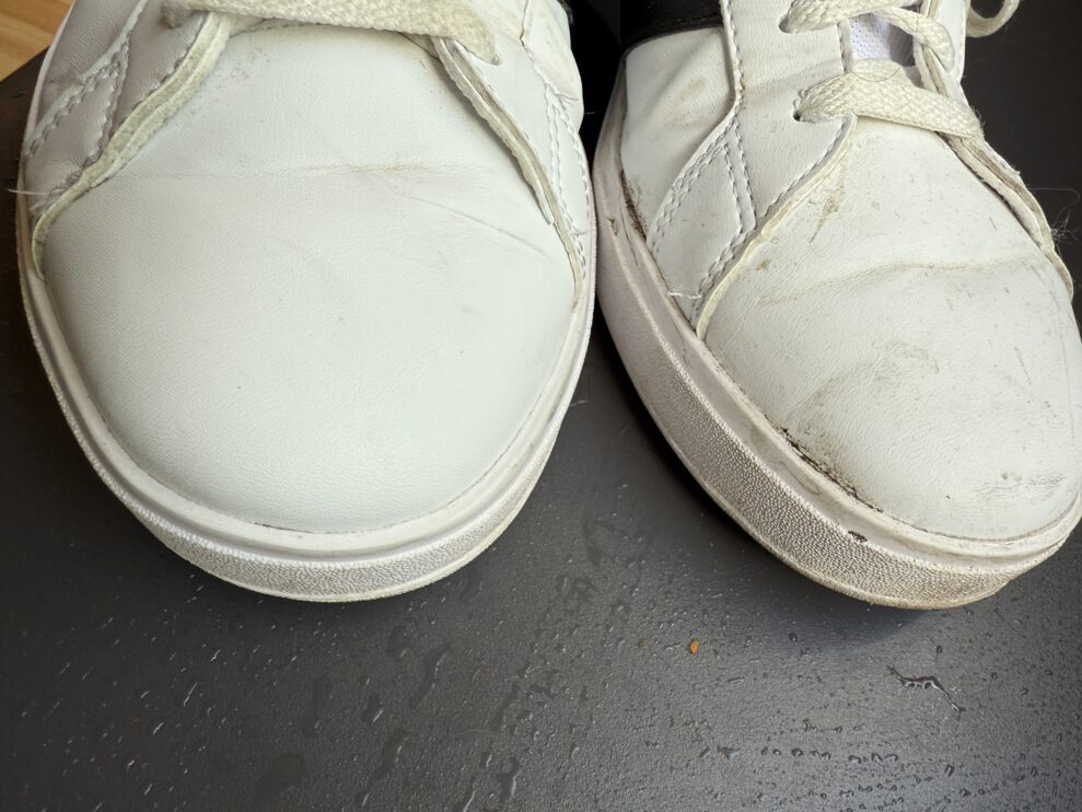 SpotClean HydroSteam sneakers (web)