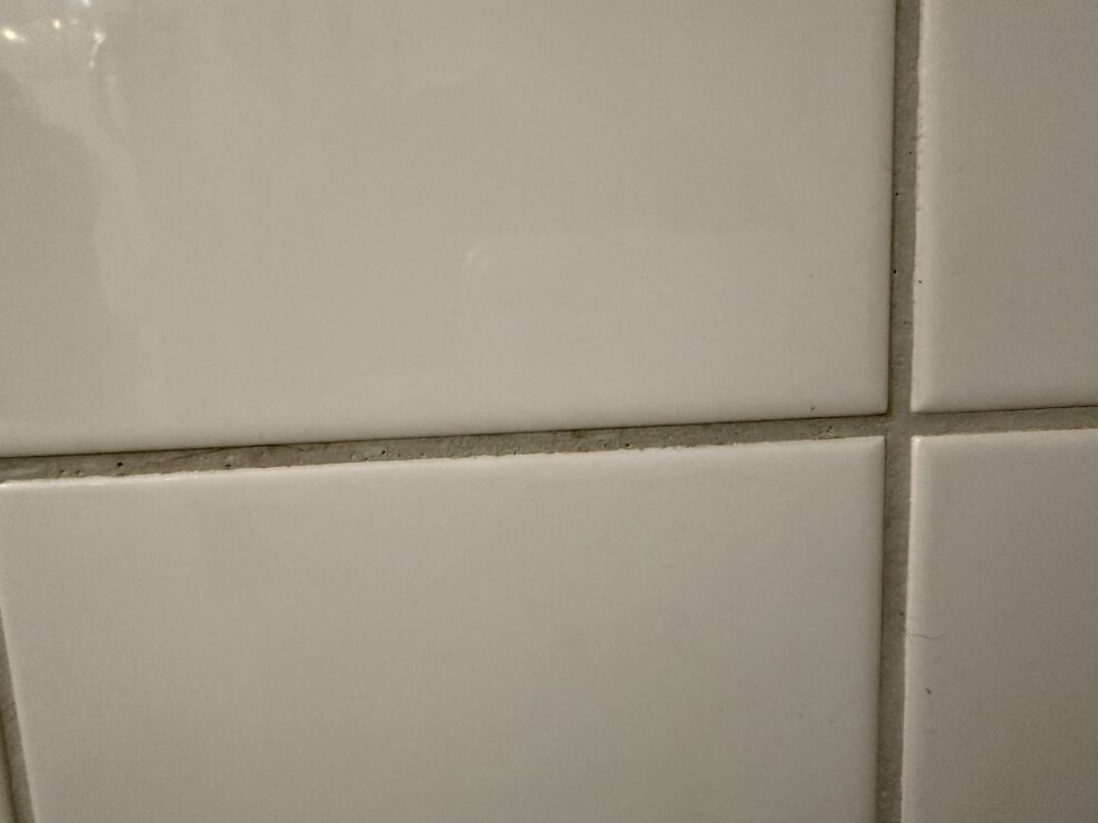 SpotClean HydroSteam tiles after (web)