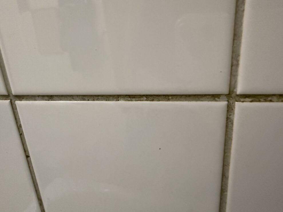 SpotClean HydroSteam tiles before (web)